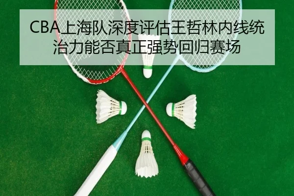 CBA上海队深度评估王哲林内线统治力能否真正强势回归赛场