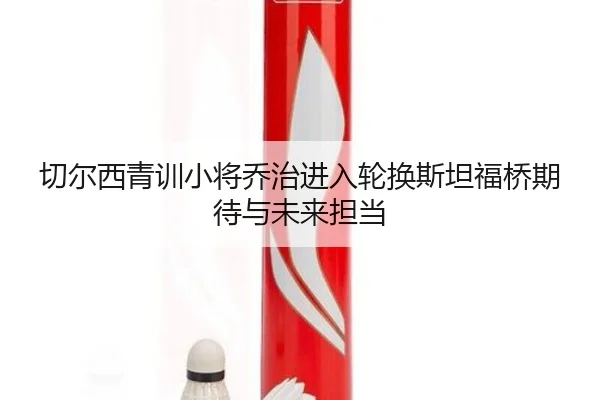 切尔西青训小将乔治进入轮换斯坦福桥期待与未来担当